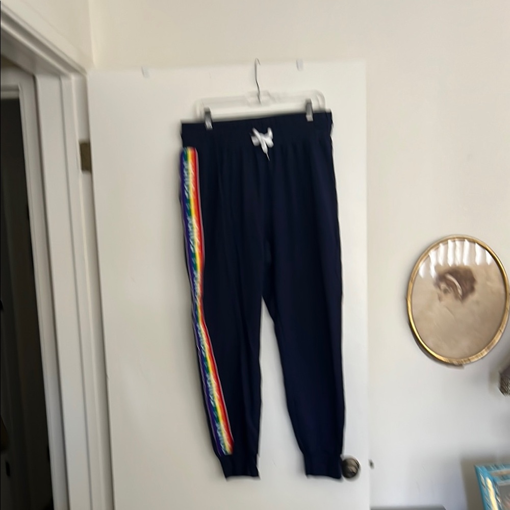 Blue and Red Sweatpants with Sporty Stripe